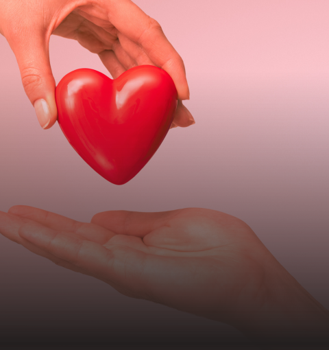 AMOR CUIDADO: O LIVRO QUE MOSTRA COMO O AFETO PODE TRANSFORMAR A EDUCAÇÃO