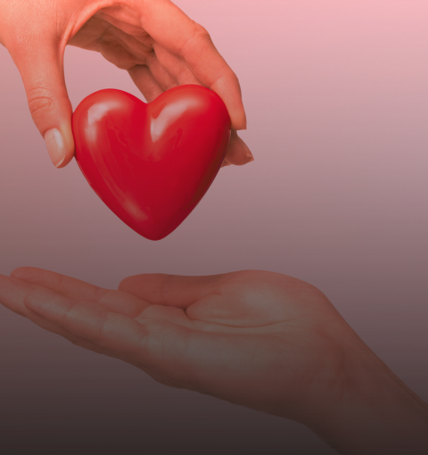 SONO EM DIA, FUTURO EM ALTA